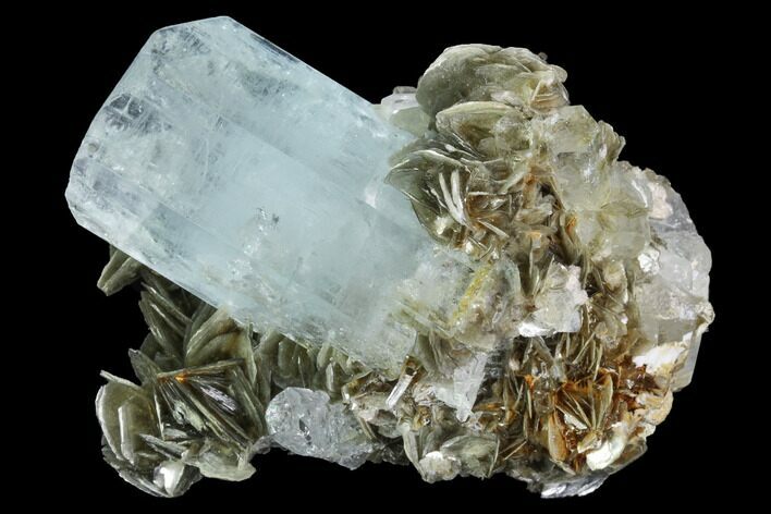 Gorgeous Aquamarine Crystal On Muscovite - Pakistan #97666